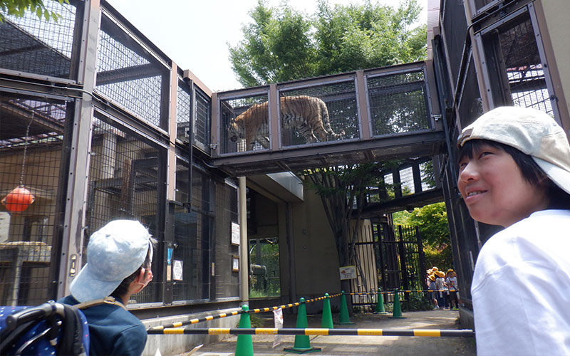 活動の様子